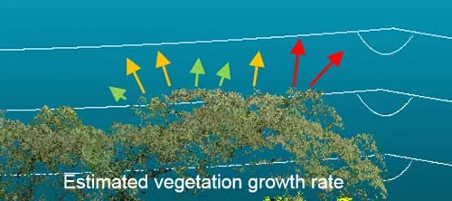 Crecimiento estimado de vegetación