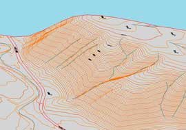 Cartografia